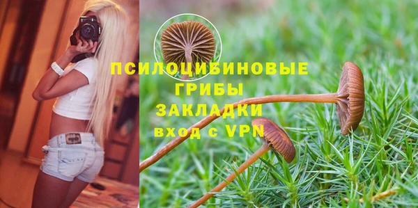 трава Армянск
