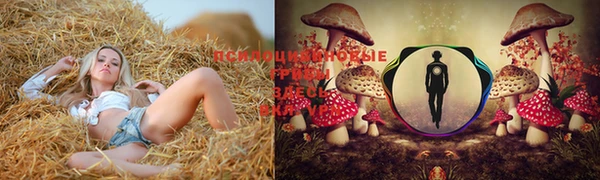 трава Армянск