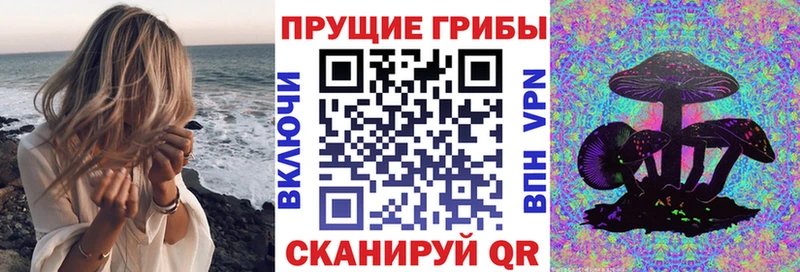 Галлюциногенные грибы GOLDEN TEACHER  omg как зайти  shop состав  Порхов 
